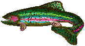 trout show xenoestrogens cause fibrocystic
